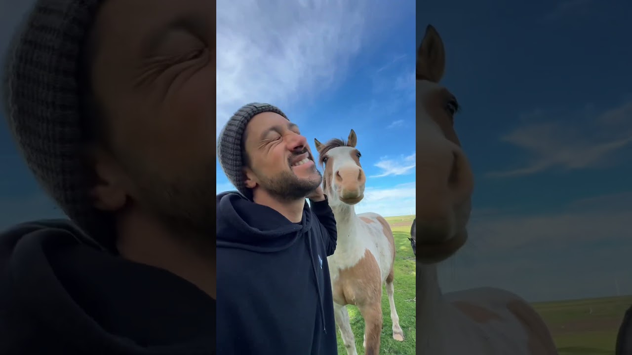 🌾 T&Iacute;PICA MA&Ntilde;ANA de CAMPO ARGENTINO
