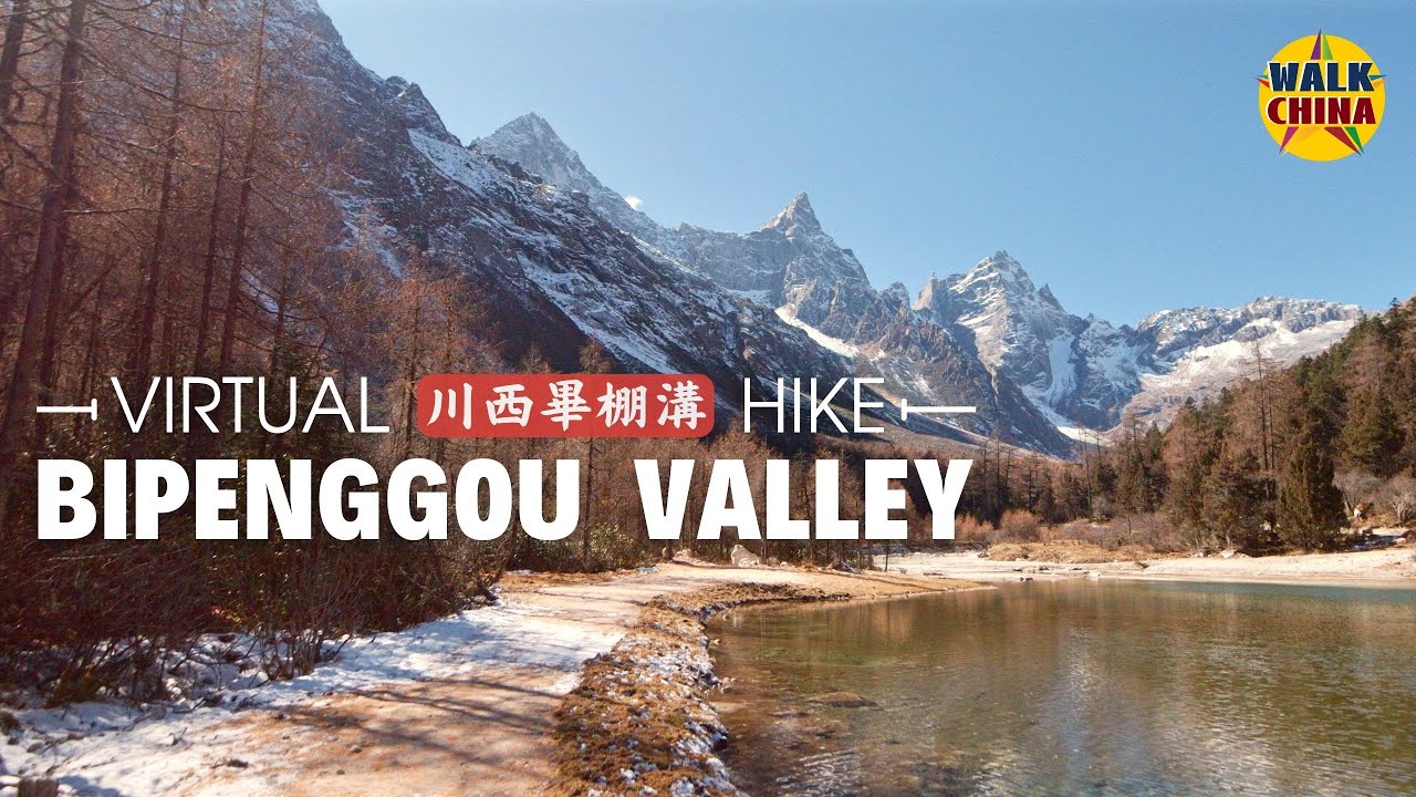 4K Virtual Forest Walk along Hiking Trail of Bipenggou Valley in Sichuan, China