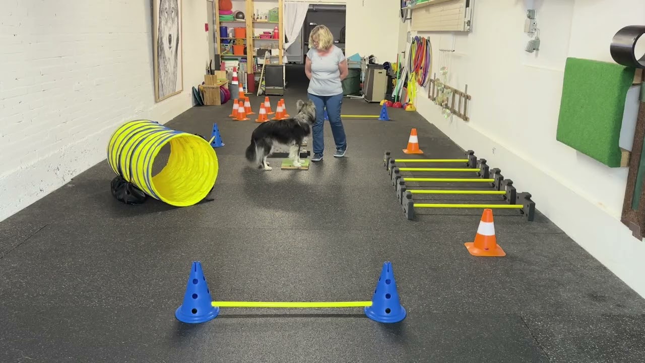 Fitness Loop Rilla