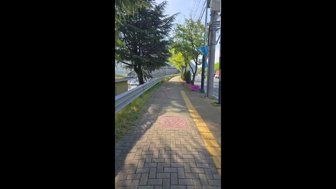 LIVE WALK & Q&A IN KOREA // DAEGU SINCHEON RIVER!