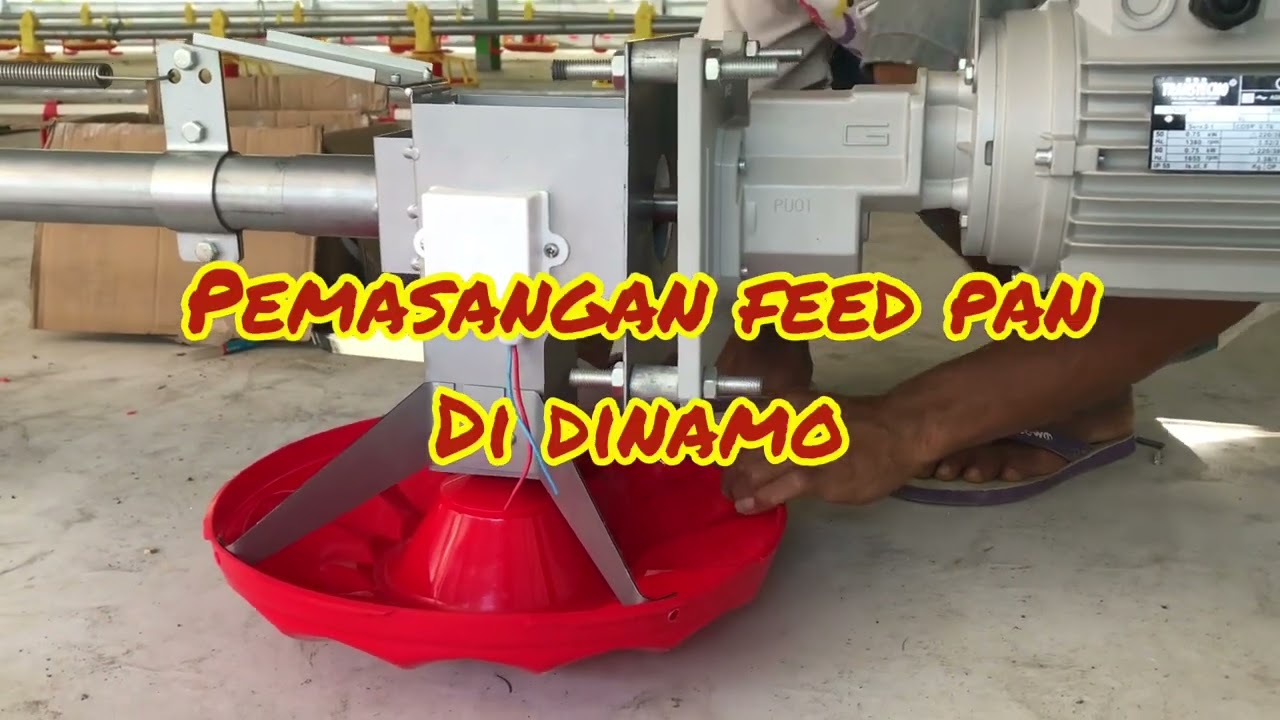 Instalasi Tempat pakan otomatis Tajimaku di kandang close house broiler