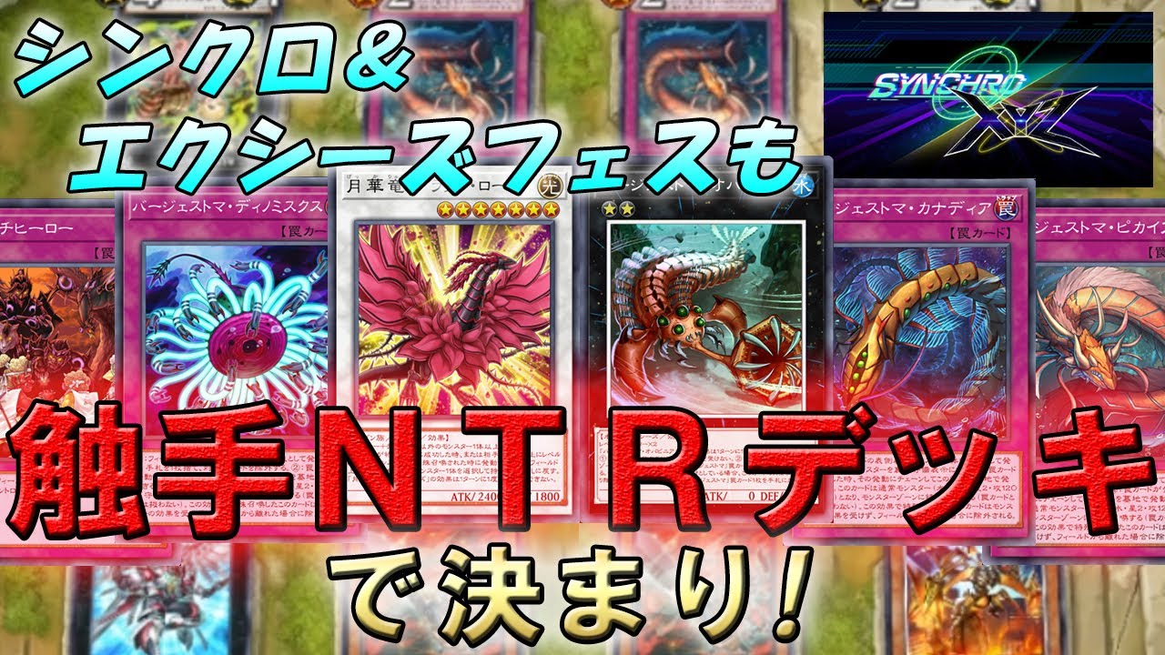 シンクロエクシーズフェスも『触手NTRデッキ』で決まり！【遊戯王マスターデュエル】