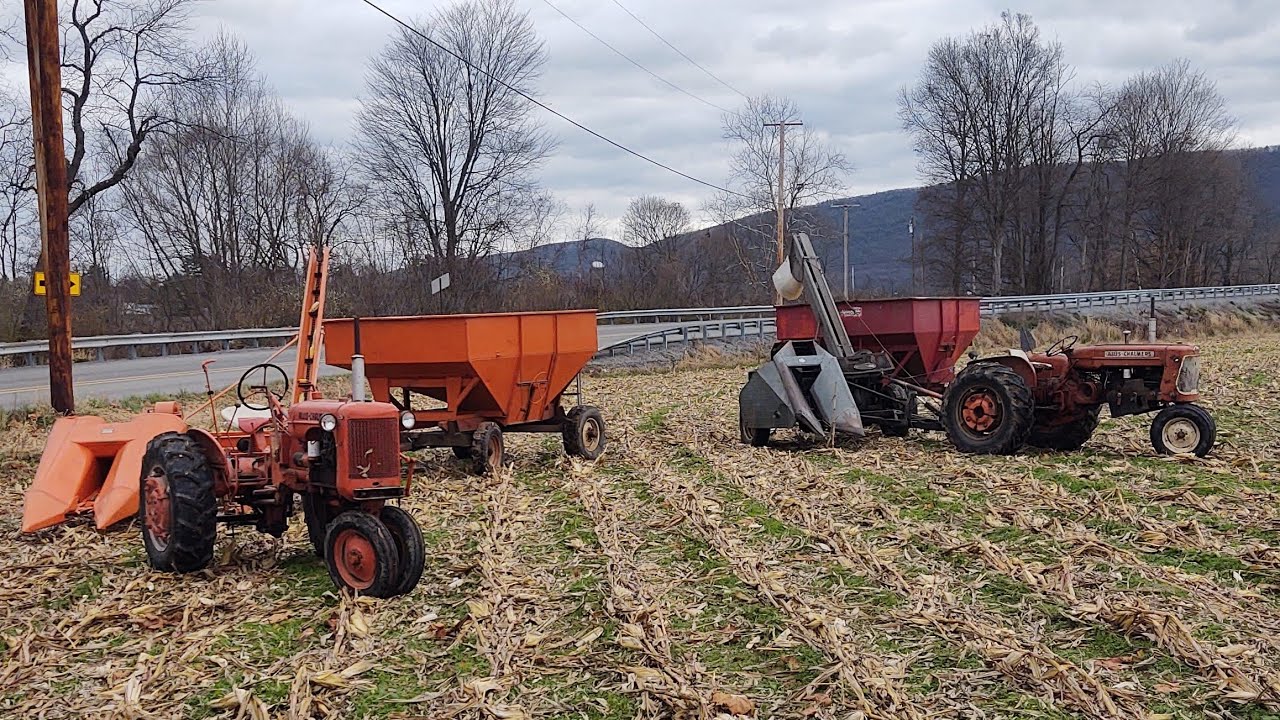 Picking Corn With Allis Chalmers CA and D14