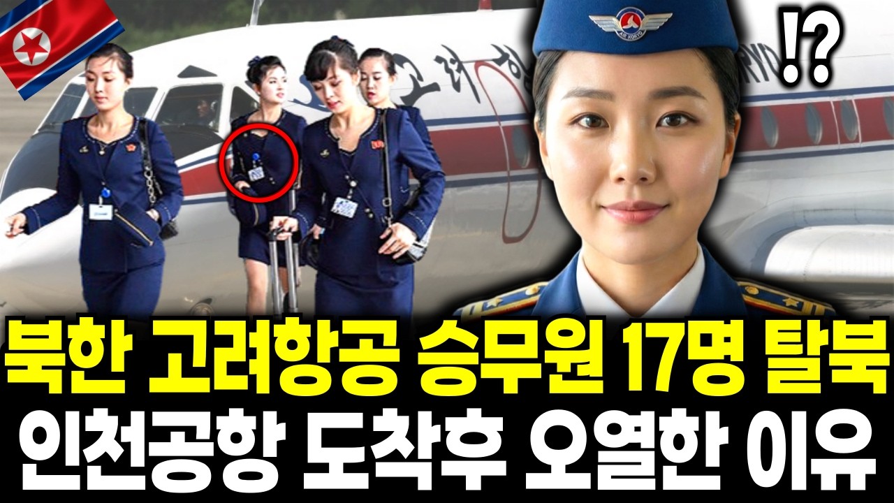 북한 고려항공 승무원 17명 집단 탈북, 인천공항 도착후 오열한 이[탈북민사연]