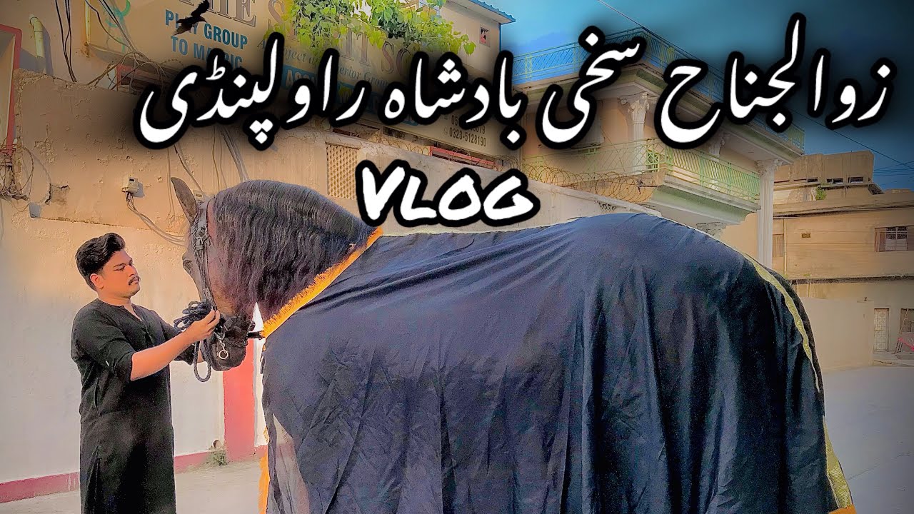 Zuljanah sakhi badshah rawalpindi Vlog |Fun with raza| 15 Muharram #zuljanahvideos #zuljanahvlog