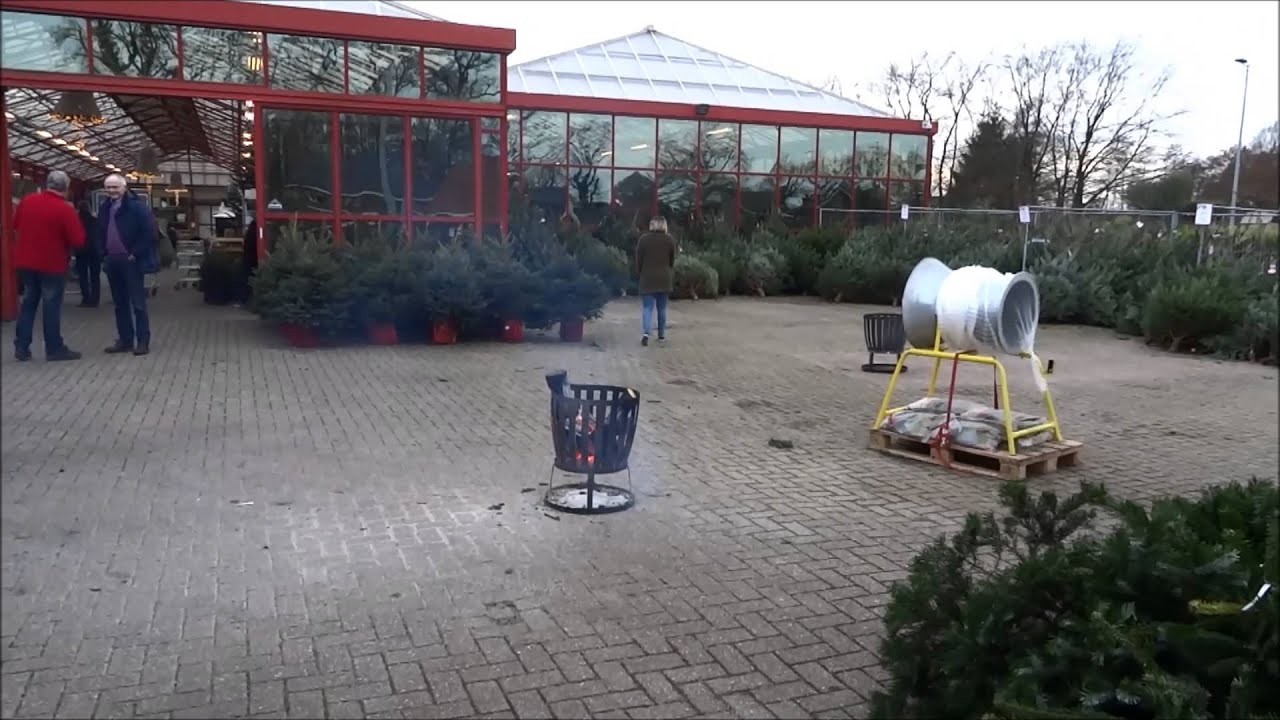 Kerstbomen SNEL- verkoop bij Tuincentrum Borghuis