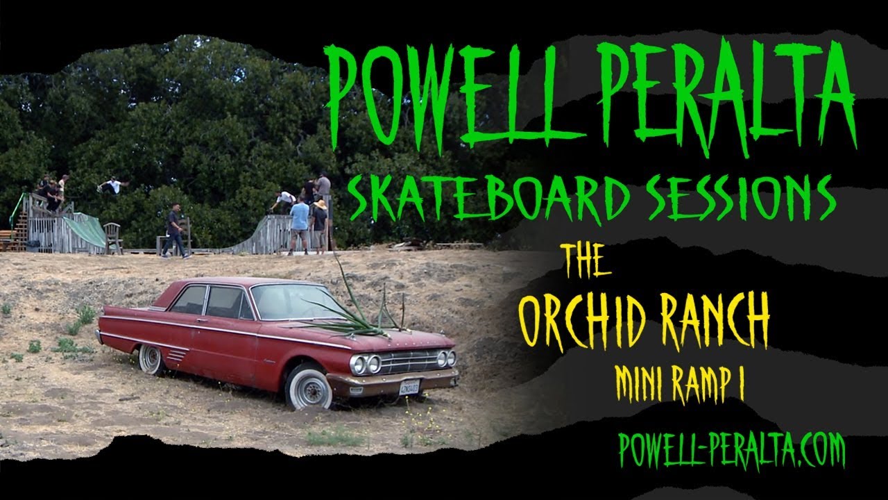 Powell Peralta Skateboard Sessions - Orchid Mini Ramp I