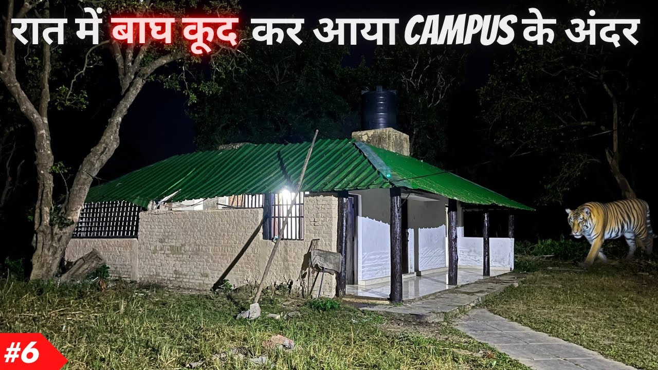 Thrilling Night Stay in Most Dangerous Forest | Dhikala FRH | Jim Corbett National Park 