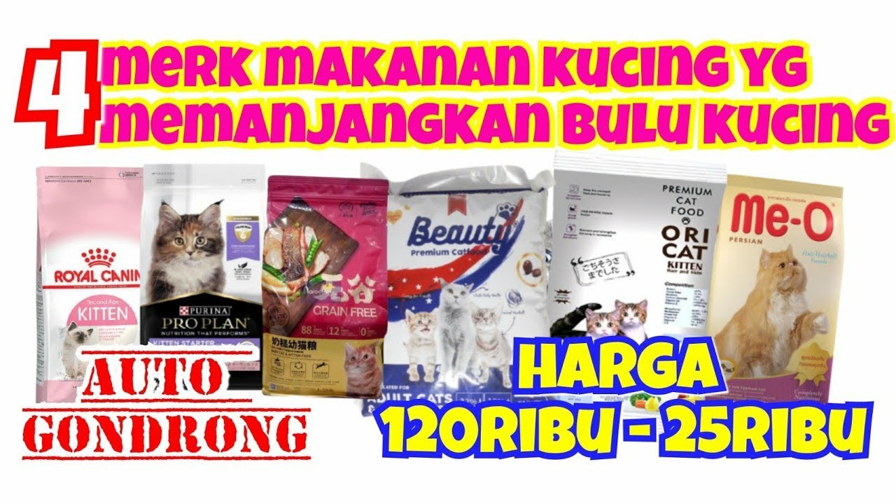 4 Merk Makanan Kucing Yang Memanjangkan Dan Melebatkan Bulu Dari Harga Mahal Sampai Murah