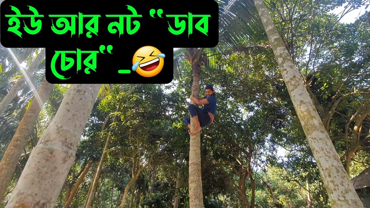 ৭ বছর পর নারিকেল গাছে উঠছি 🌴🤣