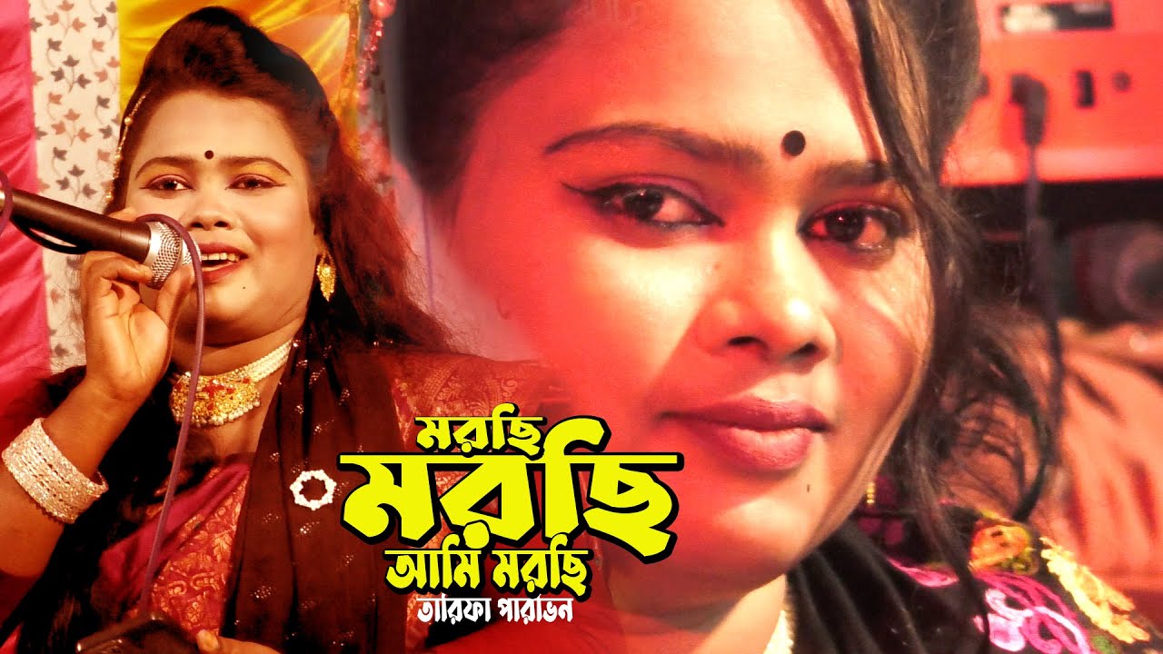 মরছি মরছি আমি মরছি তোমরা কেও আর মইরোনা ** শিল্পী.. তারিফা পারভিন ** new song kalapata media
