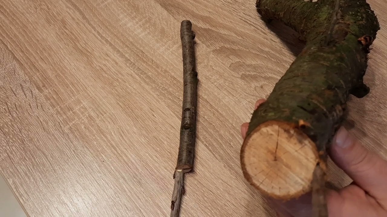 Gyümölcsfák oltása - miért nem sikerül?