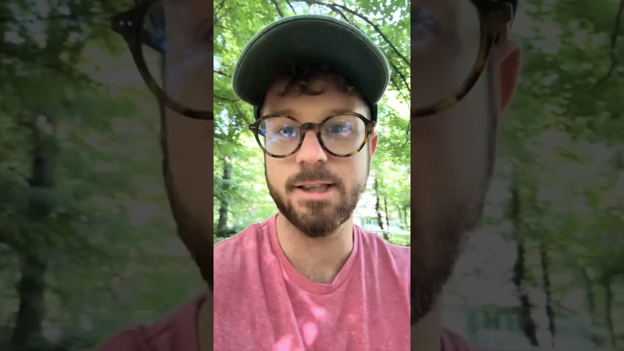 POV: You live in Upstate NY 😱🐻 #upstateny #wildlife #blackbear #inthewoods #barenecessities #bears