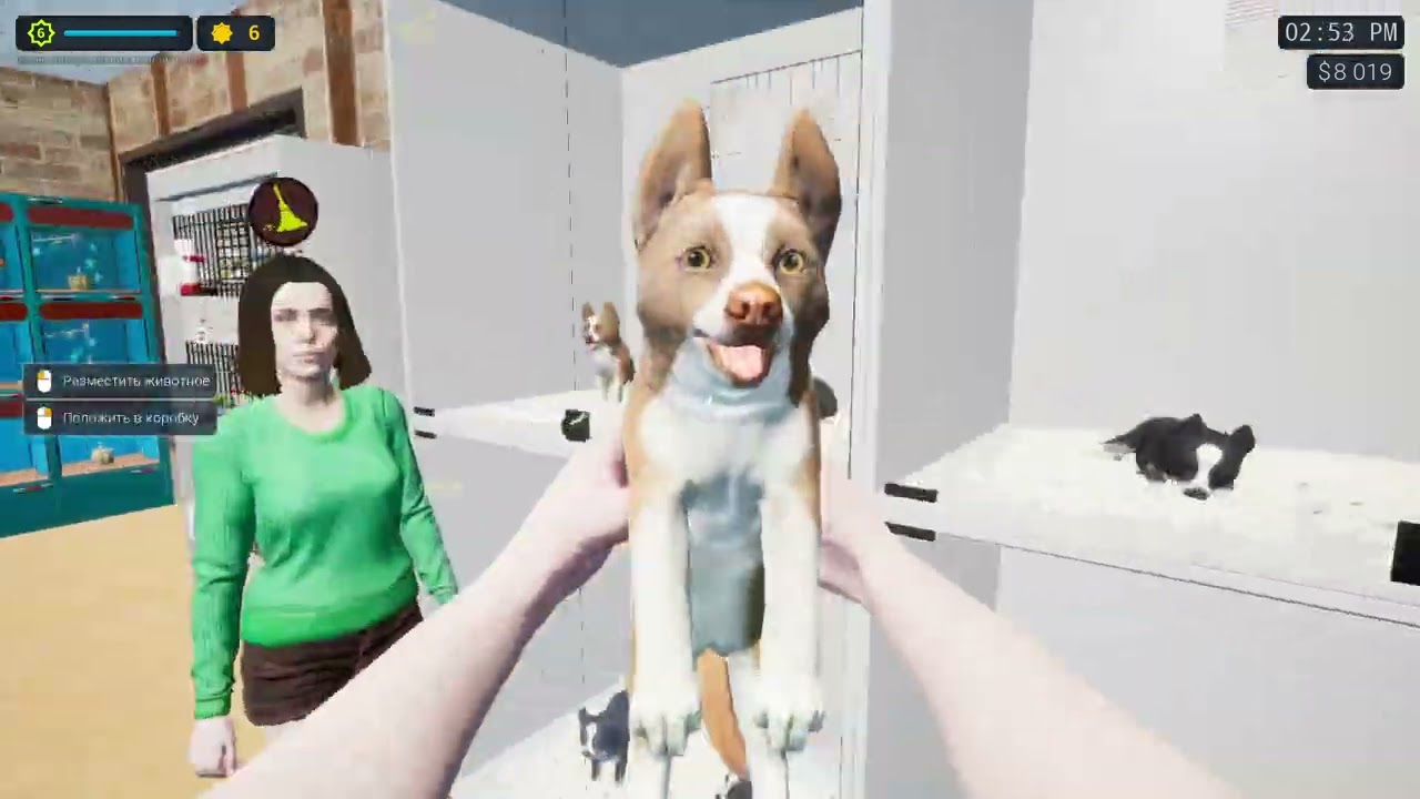 Огромный зал и гекконы  Exotica2  Pet Shop Simulator#4