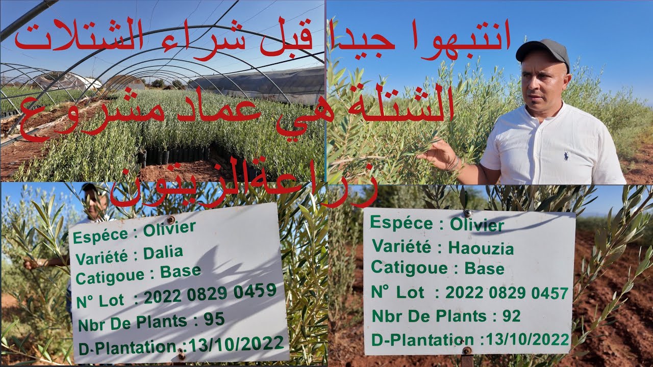 زيارة ميدانية  لمشتل معتمد من لونسا بالعطاوية الجزء التاني