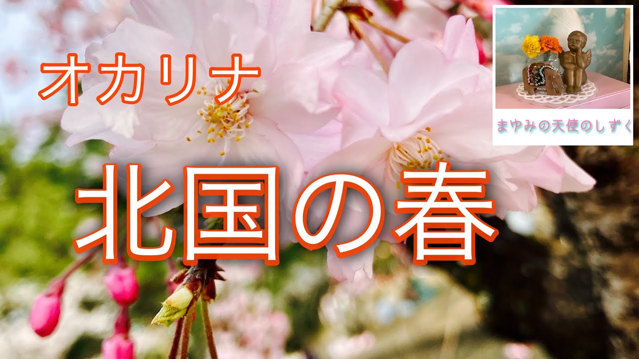 オカリナ　北国の春　千昌夫さん