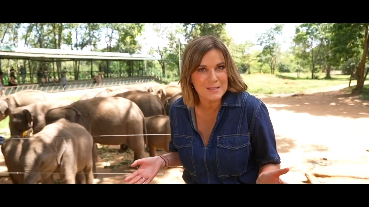 Channel 7 Australia’s visit to the Elephant Transit Home