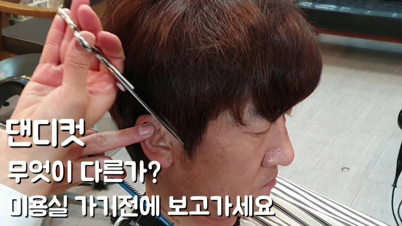 댄디컷 무엇이 다른가~ 미용실 가기전에 보고가세요~!