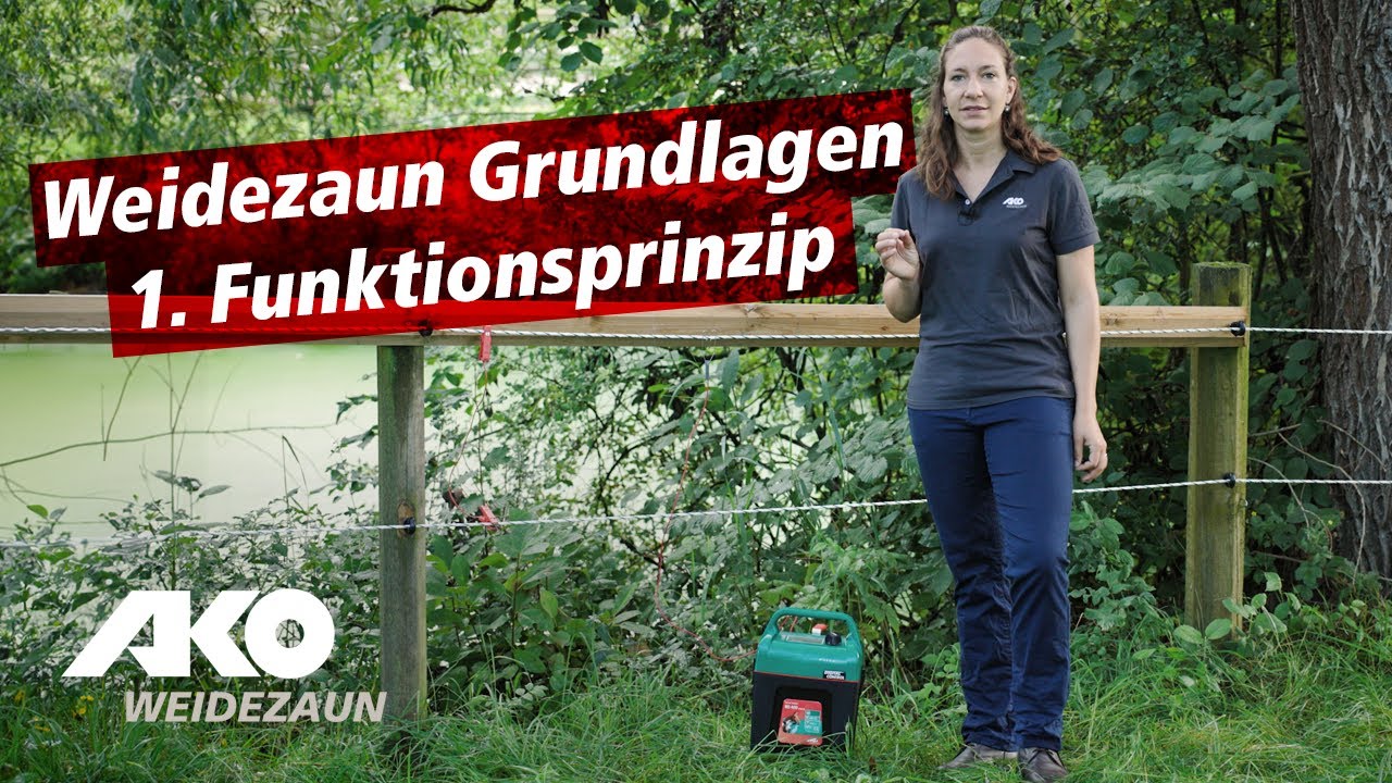 Weidezaun Grundlagen: 1. Funktionsprinzip