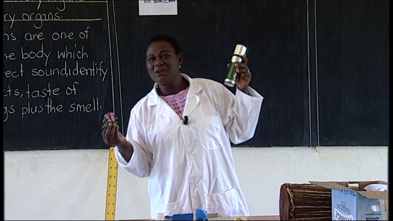 REB | P2 | Science and Elementary Technology | Unit 8 | Lesson1: Sensory Organs