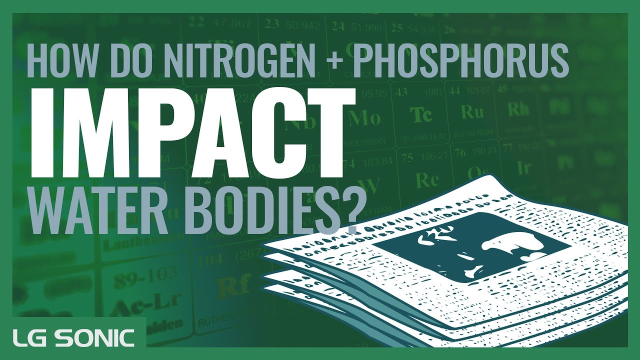 Nutrient pollution: Causes & solutions