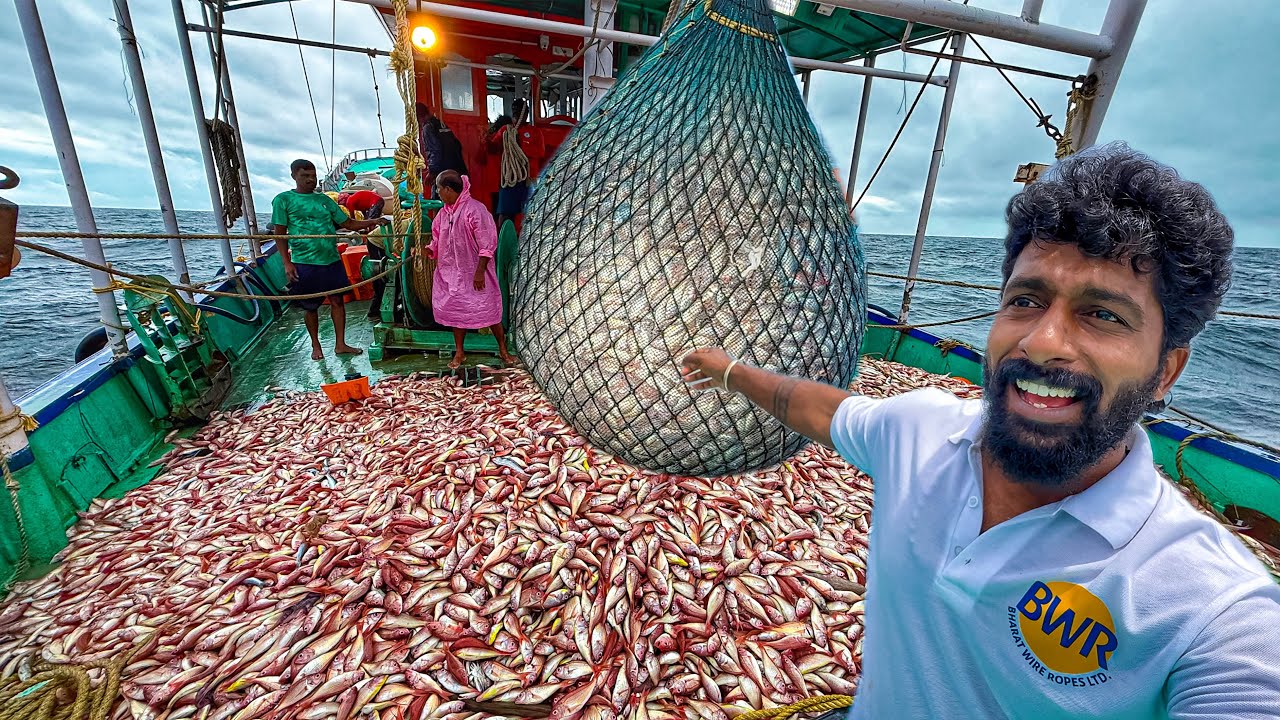 INCREDIBLE CATCH 🤩 Boat Filled with PINK PERCH Fish 🐟 | Non-Stop Fishing Action | Thenkadal Meenavan