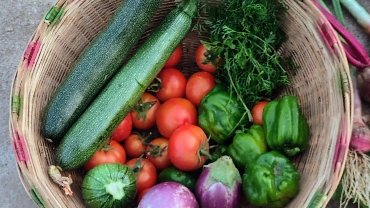 Terrace garden tour live 