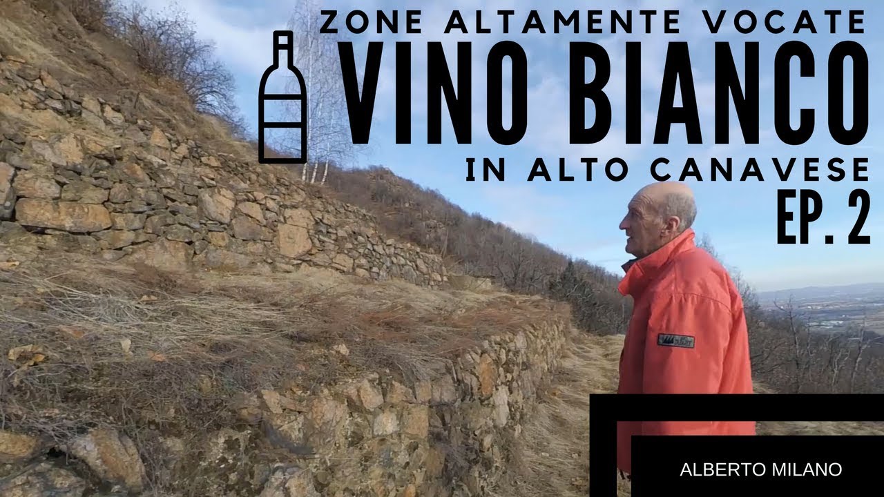 Zone ALTAMENTE vocate per la VITICOLTURA [ EP.2 ] | Alberto Milano