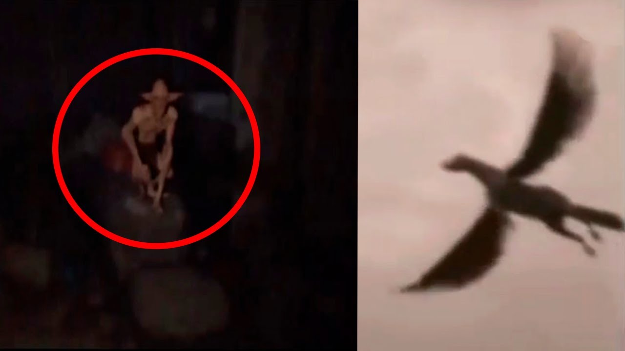 10 Criaturas Mitol&oacute;gicas Grabadas En C&aacute;mara Y En Vida Real