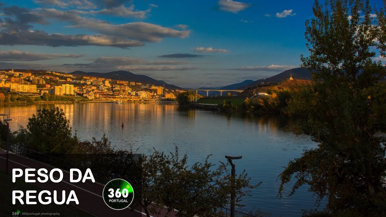 RÉGUA 🍷 DOURO VINHATEIRO| Portugal
