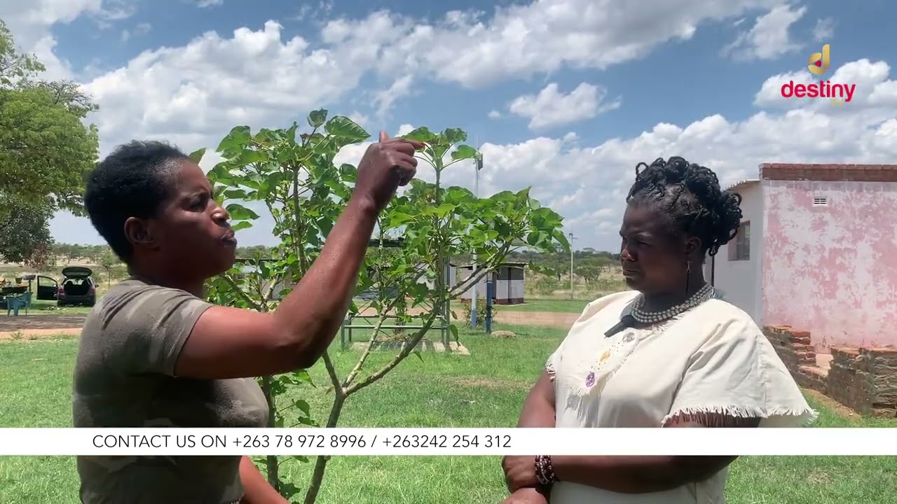 Chegutu : 