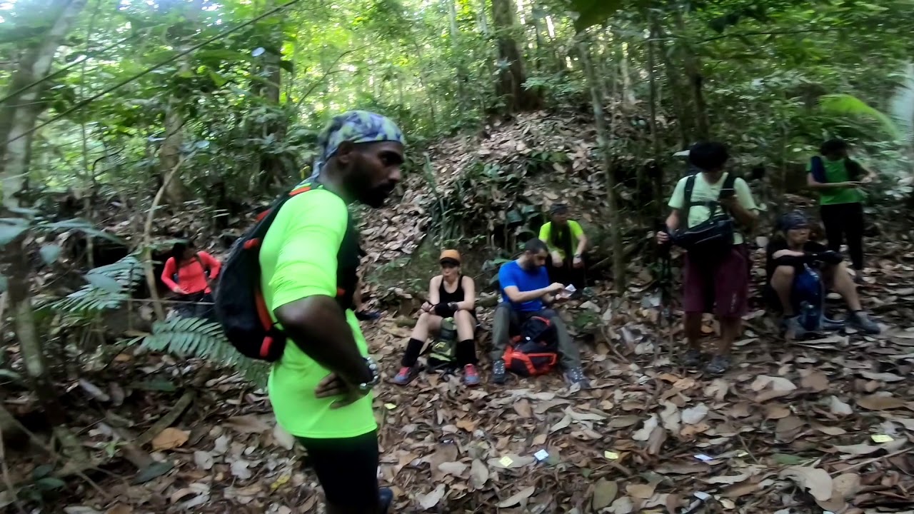 Bukit Kutu from Ampang Pecah