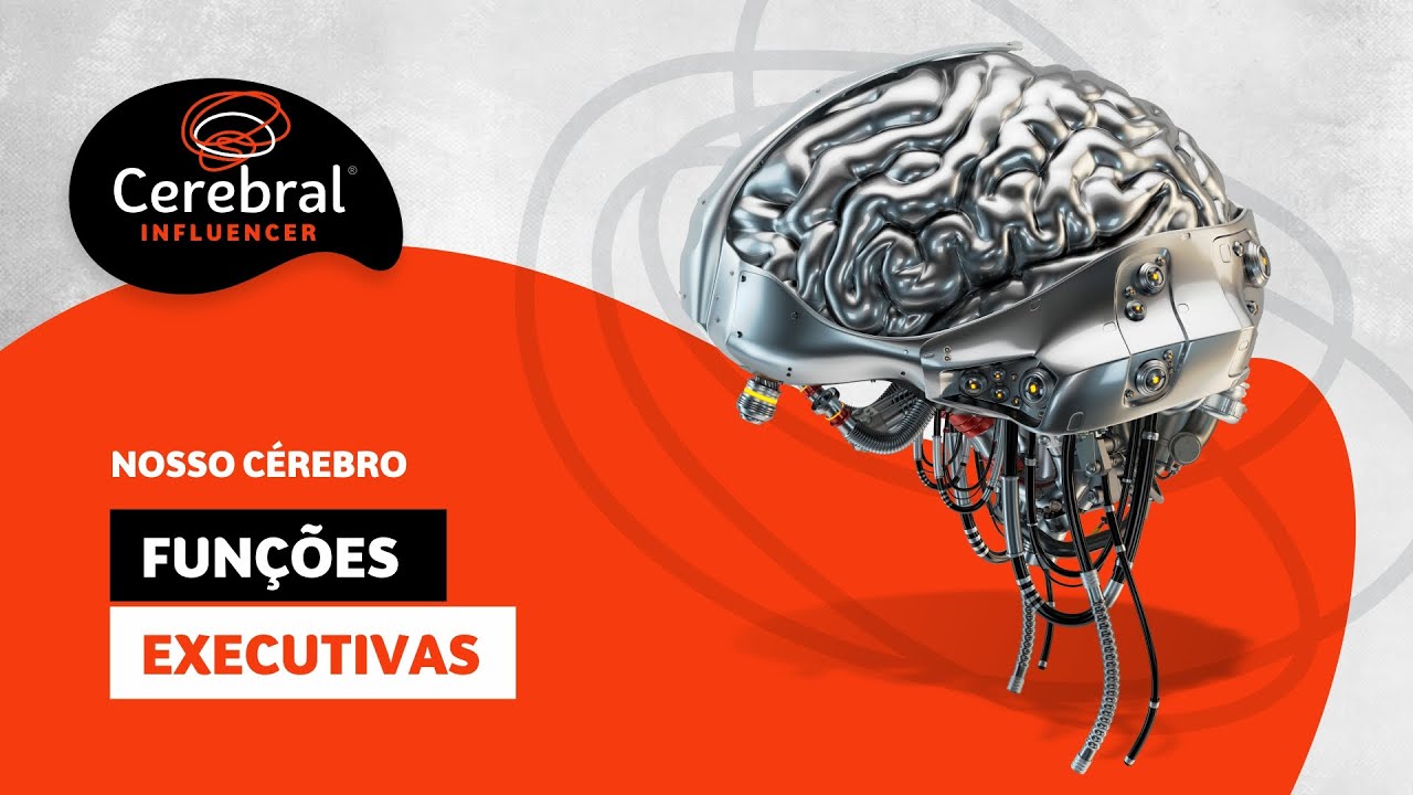 Funções Executivas do Cérebro - Funções Executivas Neuropsicologia (Neurociência e Aprendizagem)