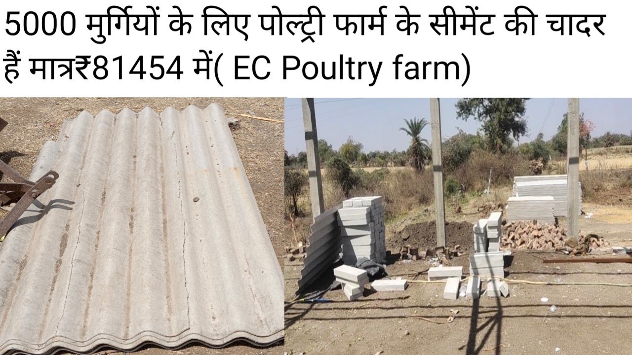 5000 मुर्गियों के लिए पोल्ट्री फार्म के सीमेंट की चादर हैं मात्र₹81454 में( EC Poultry farm)