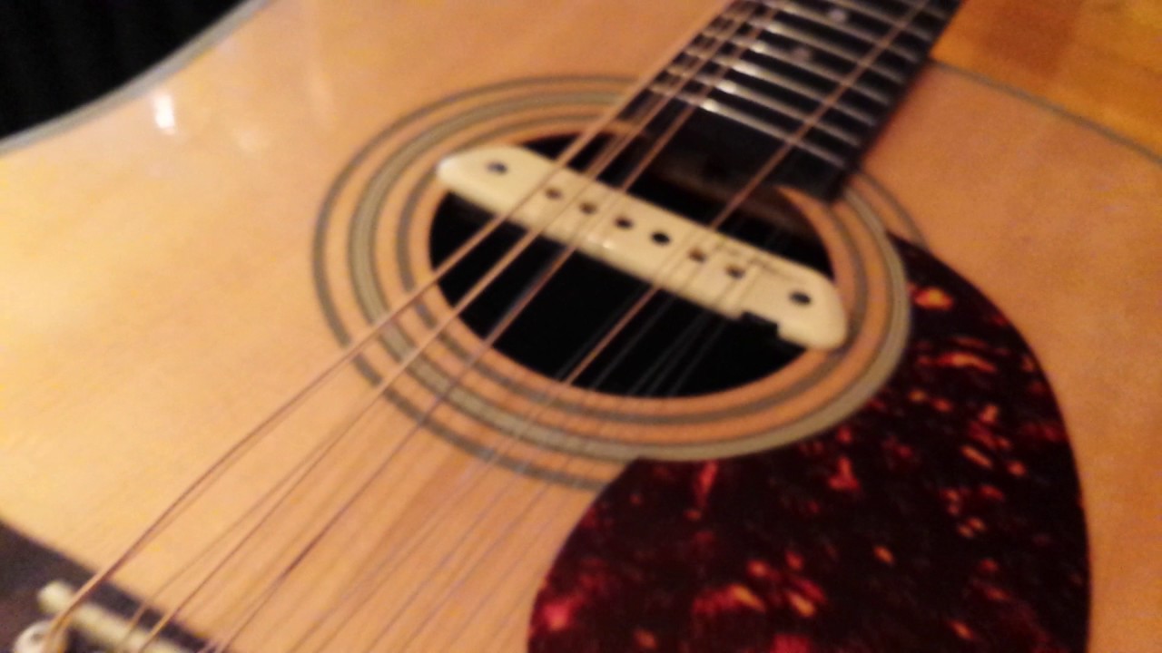 Chinese Martin D28 12 string set up