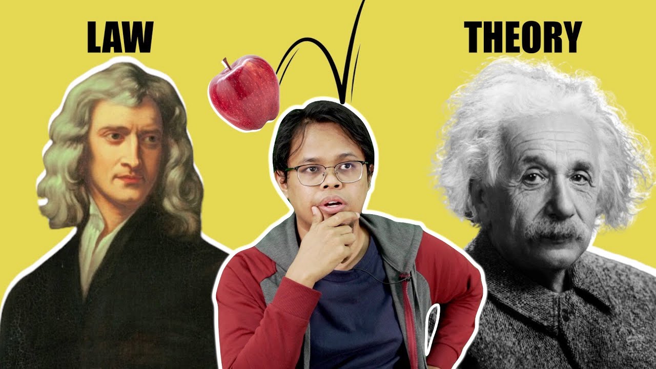 Apa Beza Theory dengan Law?