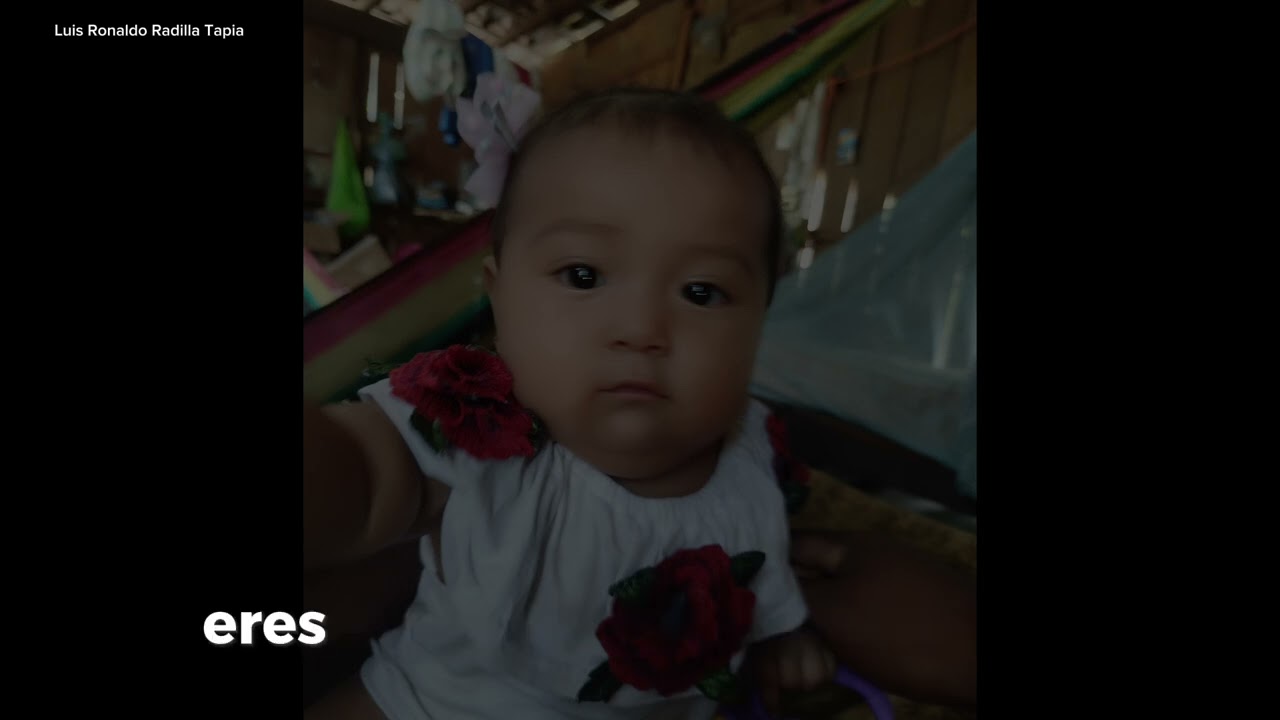 Para mí hija Ailany - Ronny Radilla #compositor #lyrics #musica #music #amor
