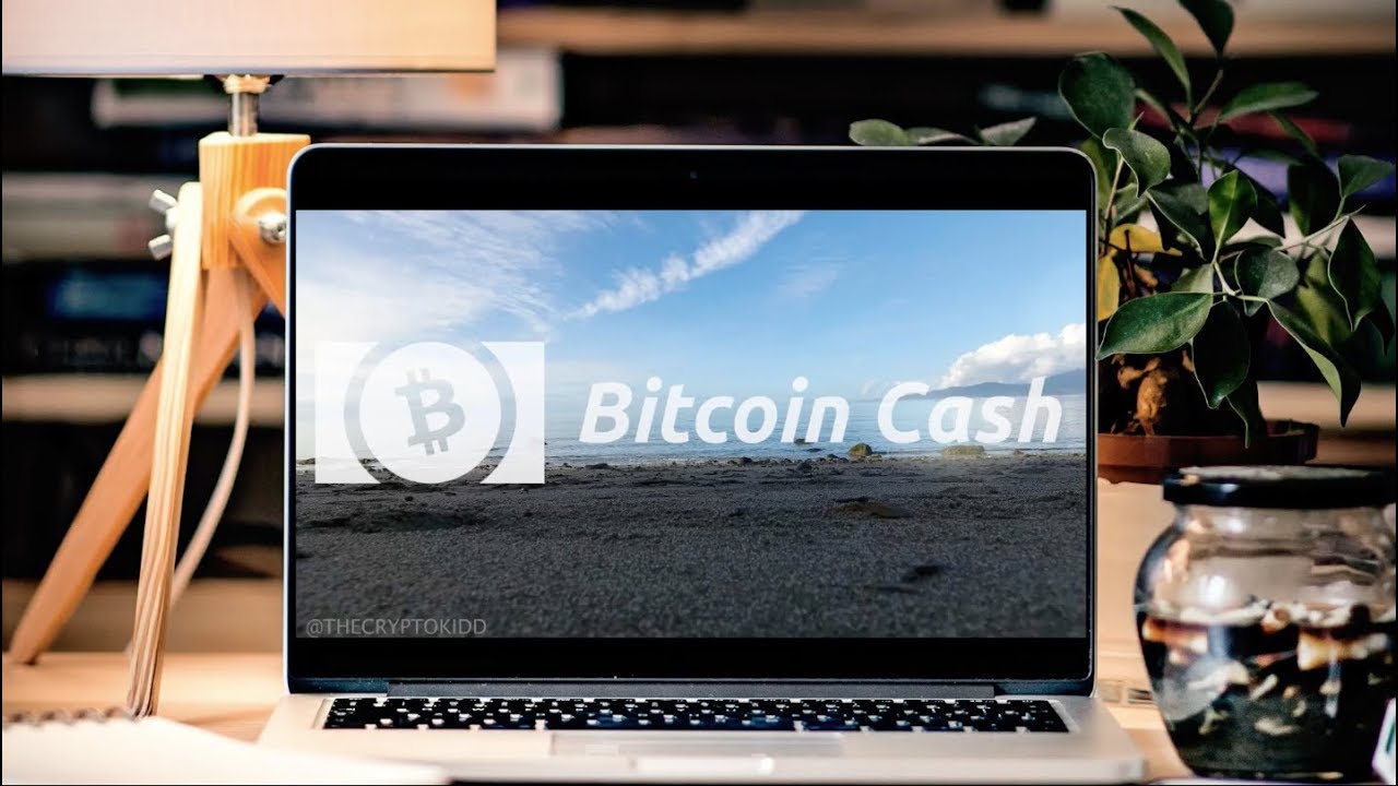 Bitcoin Cash Is the Future | BCH News in 2017