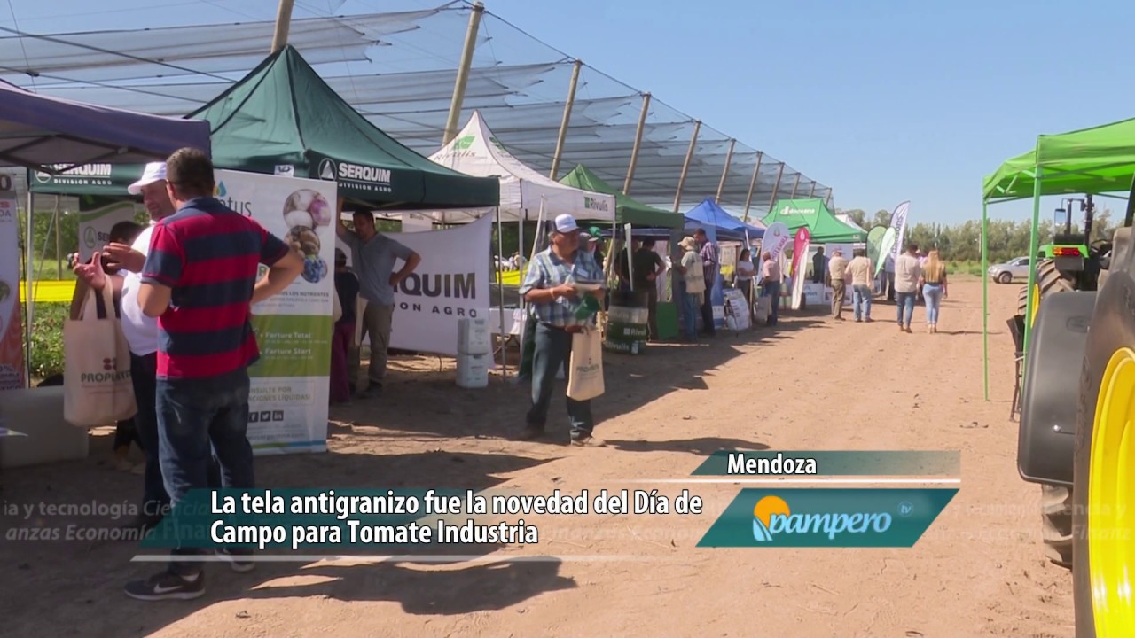 Innovaci&oacute;n para el tomate industria