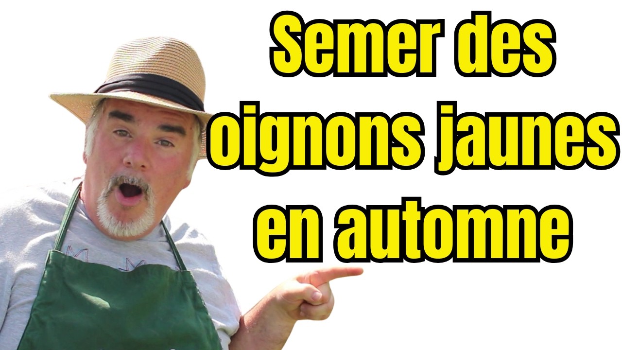 Peut-on semer des oignons jaunes en automne sous tunnel ?