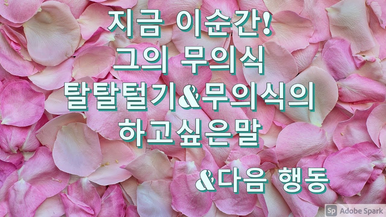 타로- 바로 지금 이순간! 그 사람의 무의식 탈탈털기, 하고싶은말 그리고 다음행동