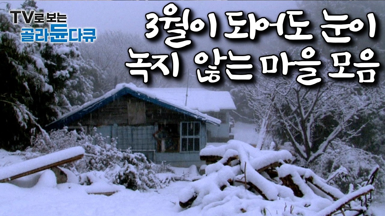 “그대들의 봄은 푸르지만, 우리는 여전히 하얗다”｜3월에도 눈이 1m 넘게 쌓여있는 국내 설국 마을 모음｜한국기행｜#골라듄다큐