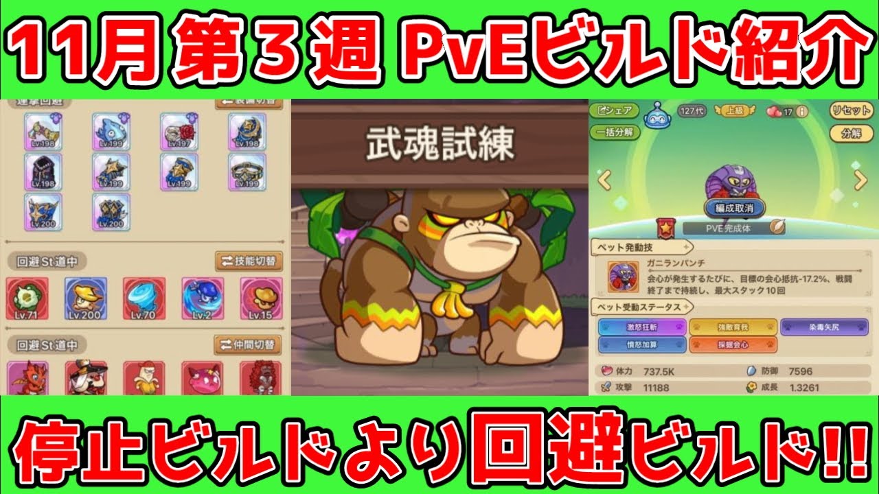 【キノコ伝説】停止ビルドは古い！今は『回避ビルド』が最強！最新PvEビルド紹介！