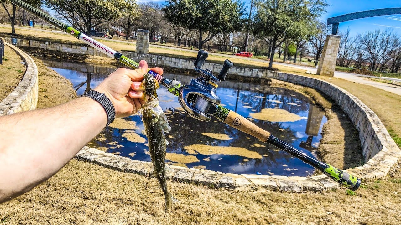 5 PONDS IN 3 HOURS!!! Bandito Bug Crushing It 💥