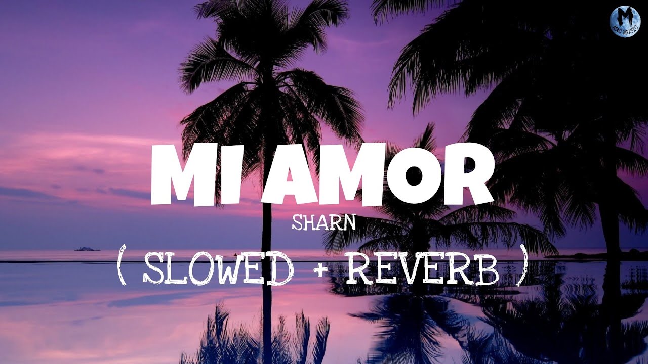 SHARN - Mi Amor | Lyrics ( Slowed+Reverb ) Song | 40k & The Paul