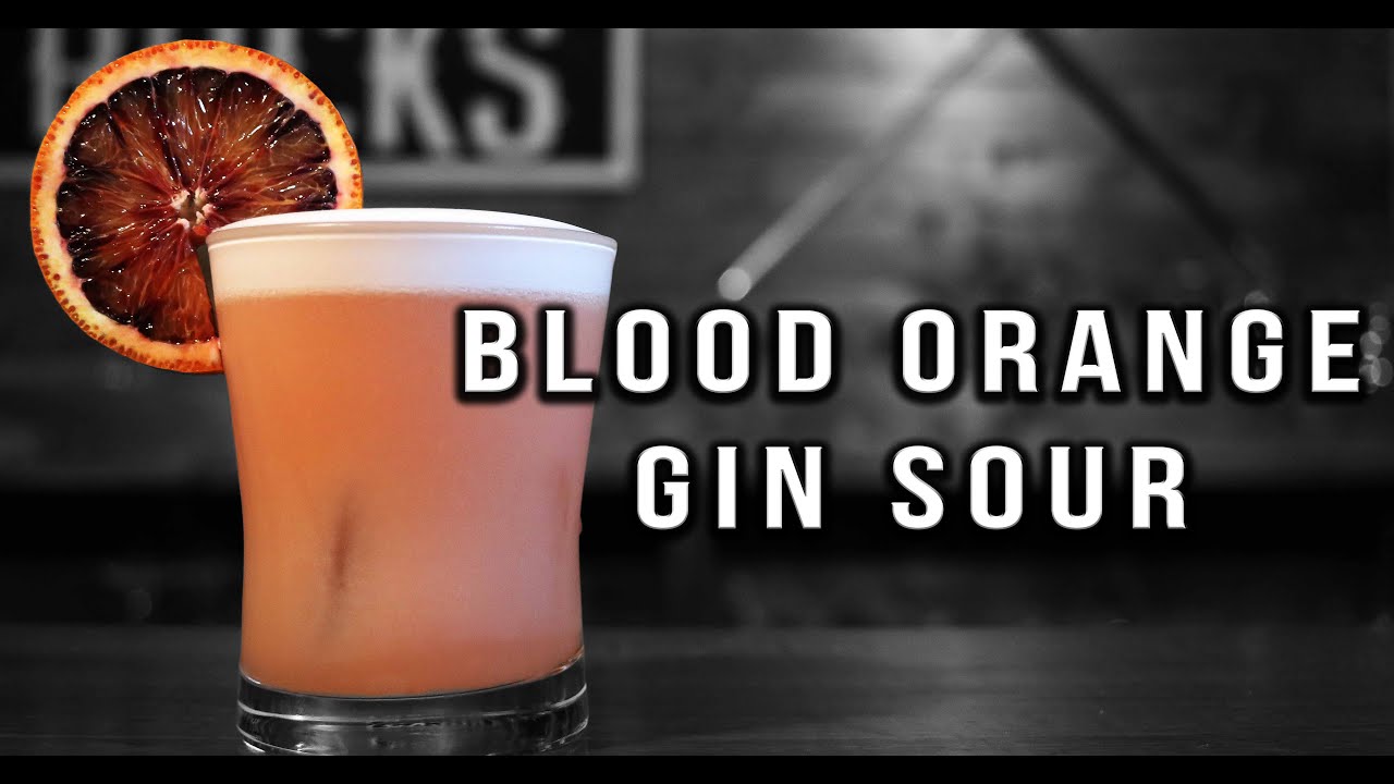 Blood Orange Gin Sour | Gin Cocktails Recipes | Booze On the Rocks