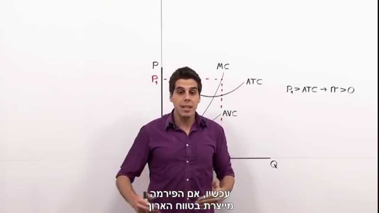 היצע בטווח הקצר ובטווח הארוך - הסבר מצוין | Studies.co.il