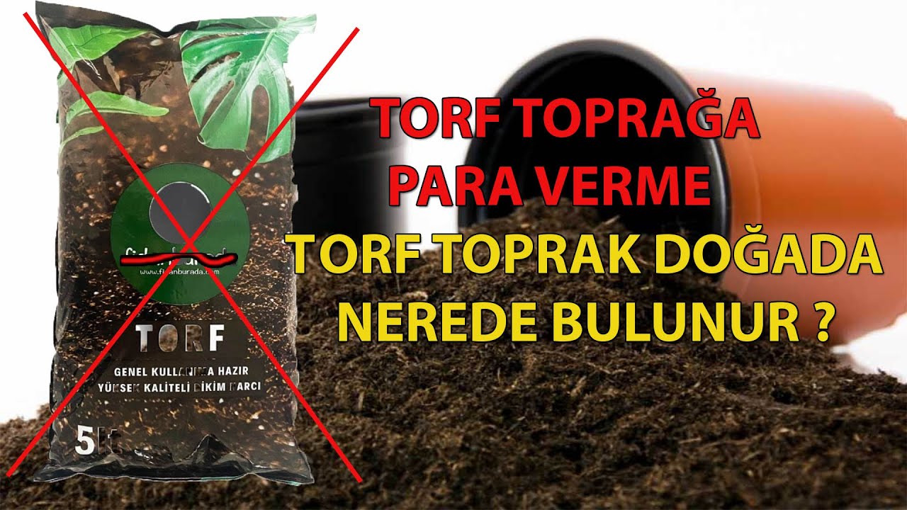 SAKSI TOPRAĞINA PARA VERMEYİN DOĞADA BULABİLİRSİNİZ - TORF TOPRAK NEREDE OLUR?