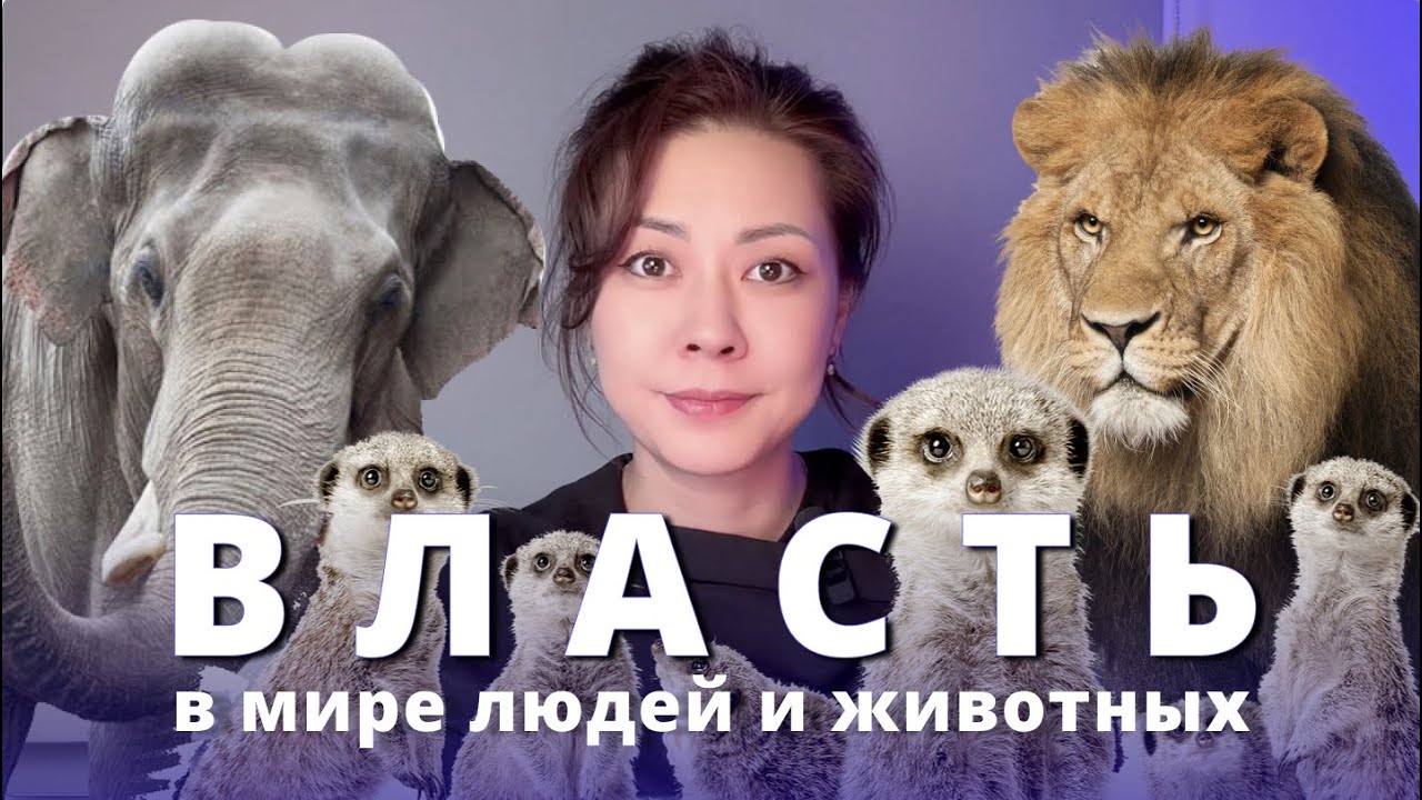 ВЛАСТЬ. Патриархат vs Матриархат и что общего у мужчин и слонов?