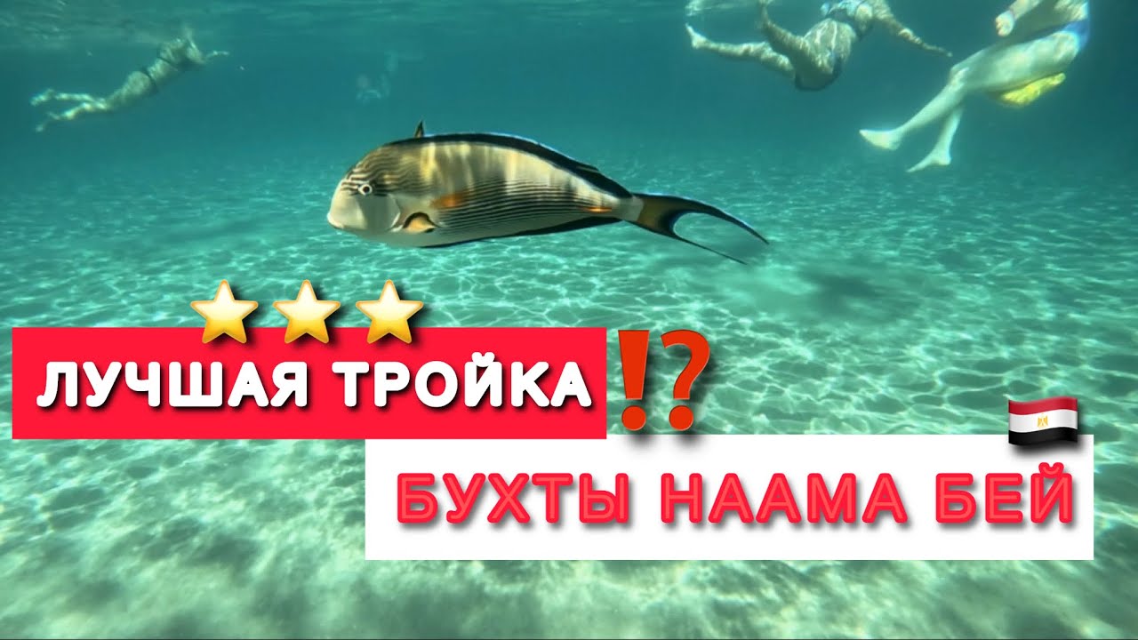 🇾🇪ЛУЧШАЯ ТРОЙКА БУХТЫ НААМА БЕЙ ⁉️ Naama blue hotel 3* / Sham el Sheikh /